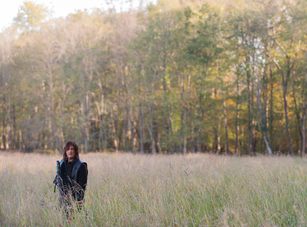 The Walking Dead The Walking Dead